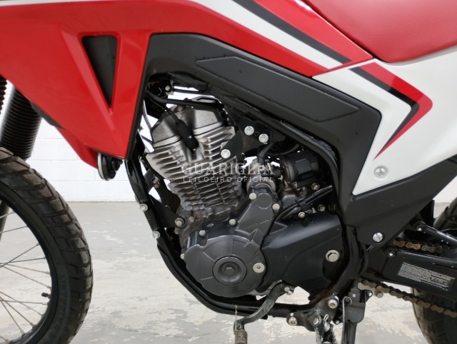 HONDA/XR300L TORNADO - S*****4 - 2025 - 2025 - ALC/GAS
